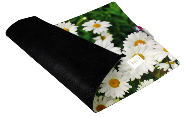 DOOR MAT LARGE PRINTED
