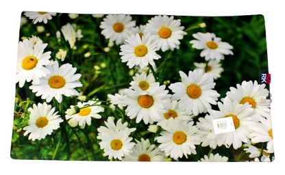 DOOR MAT LARGE PRINTED