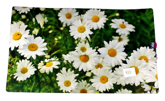 DOOR MAT LARGE PRINTED