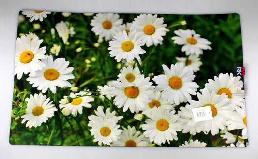 DOOR MAT LARGE PRINTED